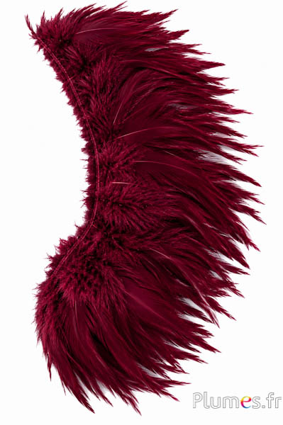 Franje haan - lengte veren 10-15 cm - bordeaux